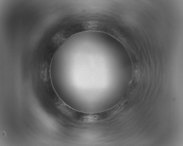 X0000071330525200607071635