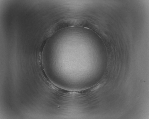 X0000071330528200607071635