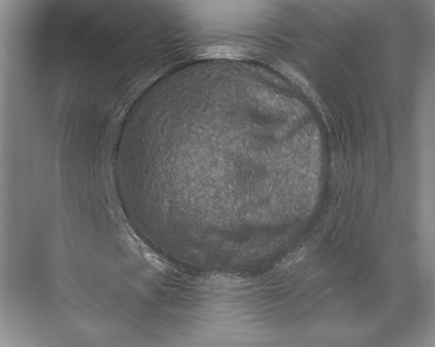 X0000071330529200607071635