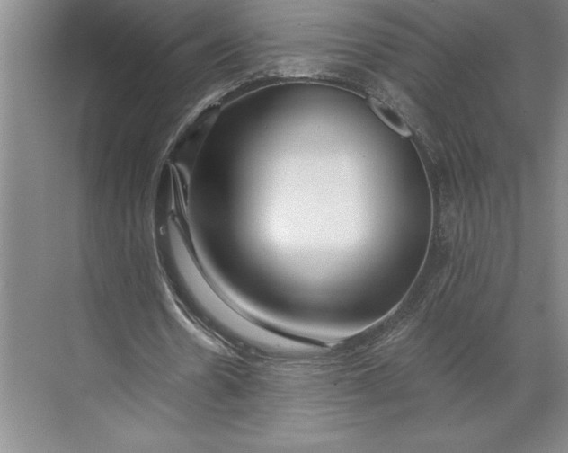 X0000071330530200607071635