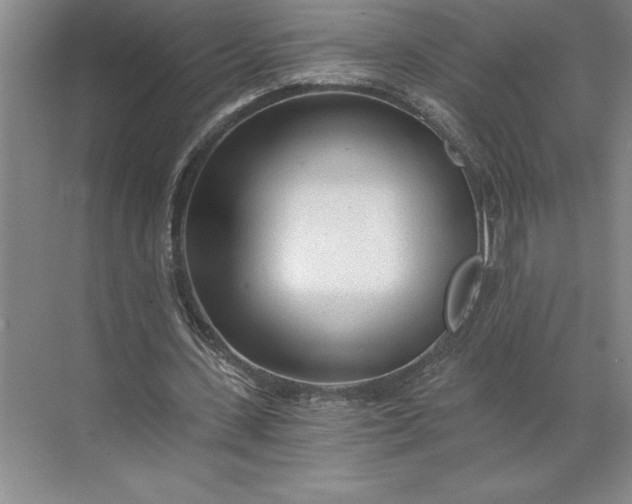 X0000071330531200607071635