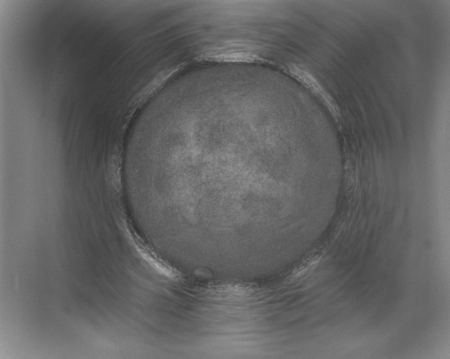 X0000071330533200607071635