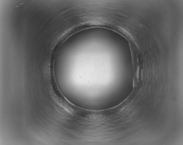 X0000071330535200607071635