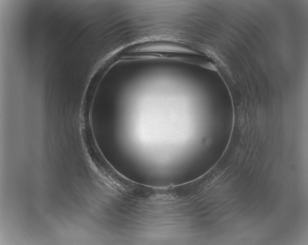 X0000071330536200607071635