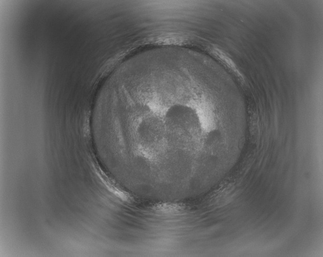 X0000071330537200607071635