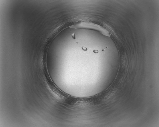 X0000071330538200607071635