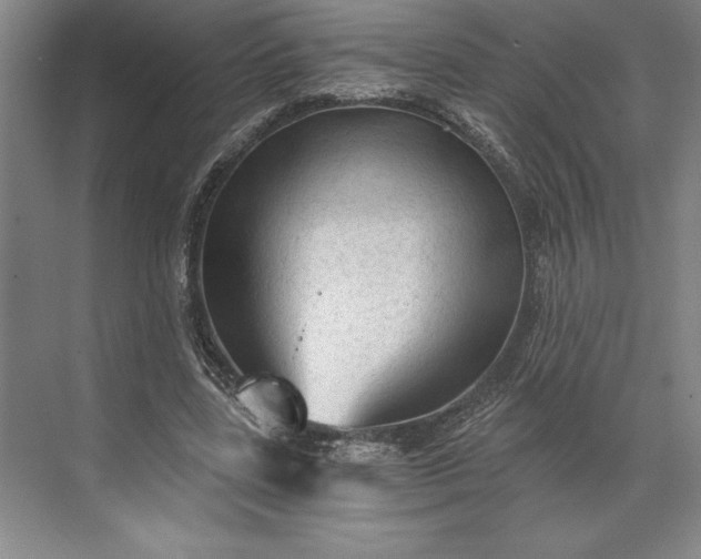 X0000071330539200607071635