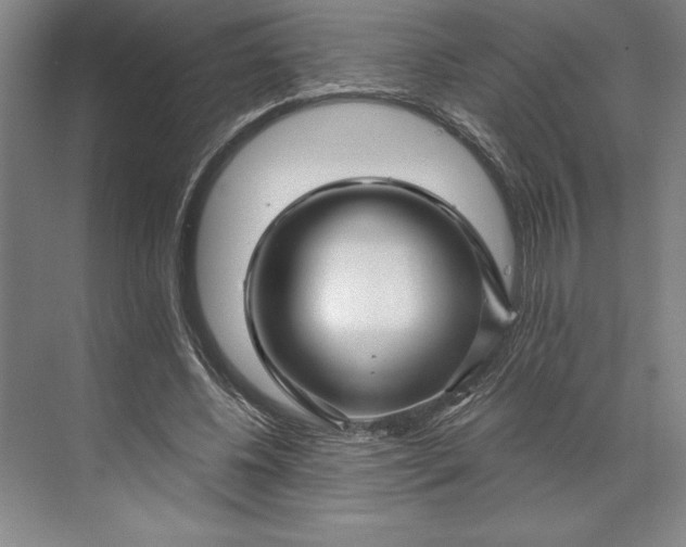 X0000071330540200607071635