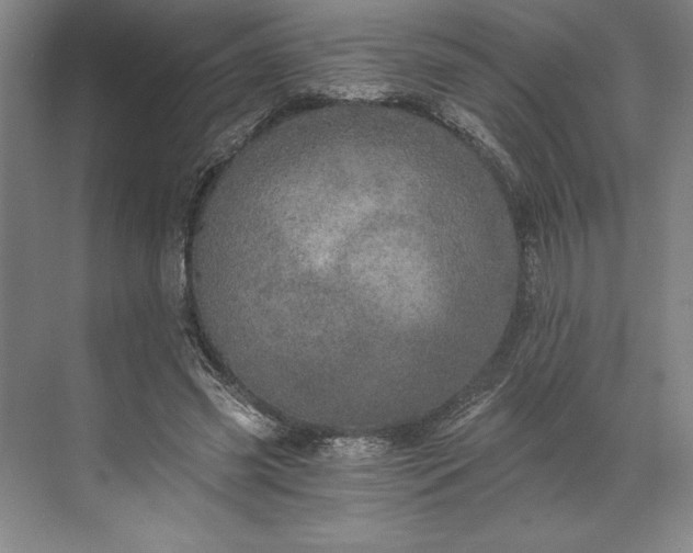 X0000071330541200607071635