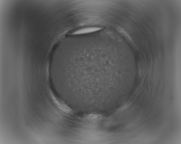 X0000071330542200607071635