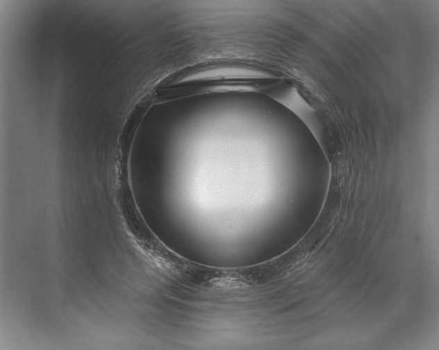 X0000071330544200607071635