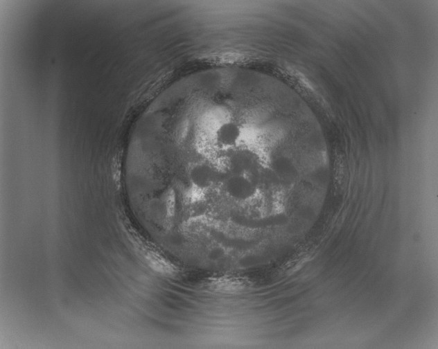 X0000071330545200607071635