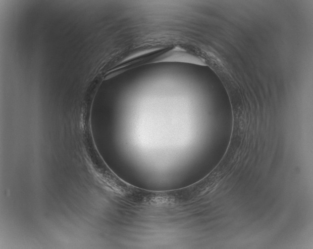 X0000071330546200607071635