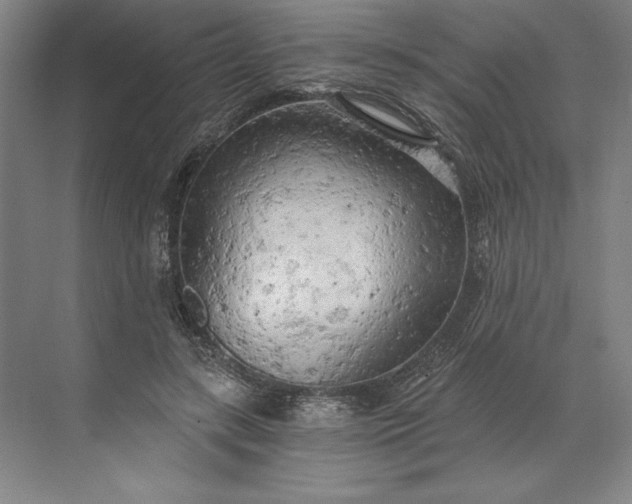 X0000071330547200607071635