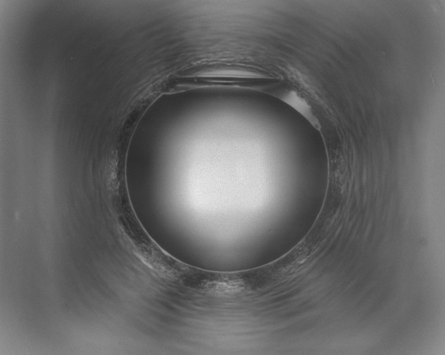 X0000071330548200607071635