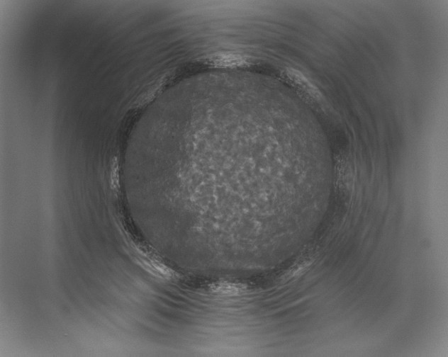 X0000071330549200607071635