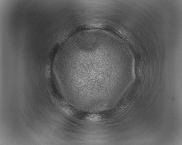 X0000071330551200607071635