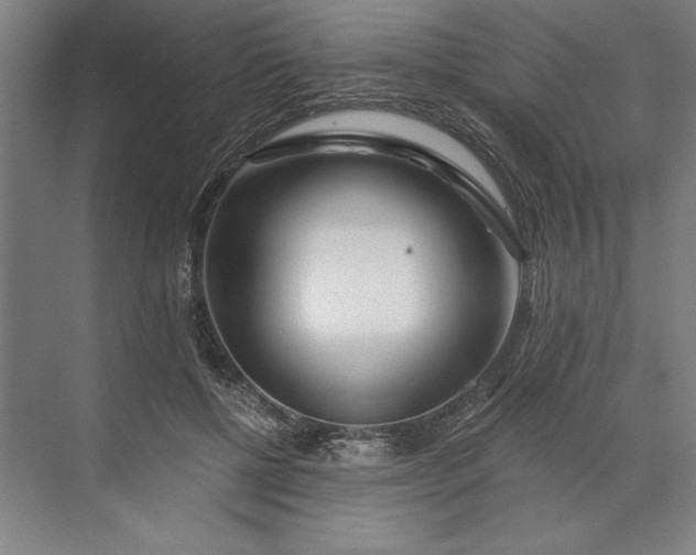 X0000071330552200607071635