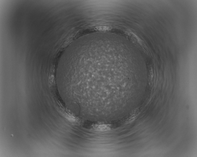 X0000071330553200607071635