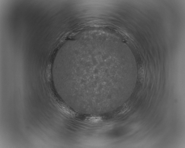 X0000071330554200607071635