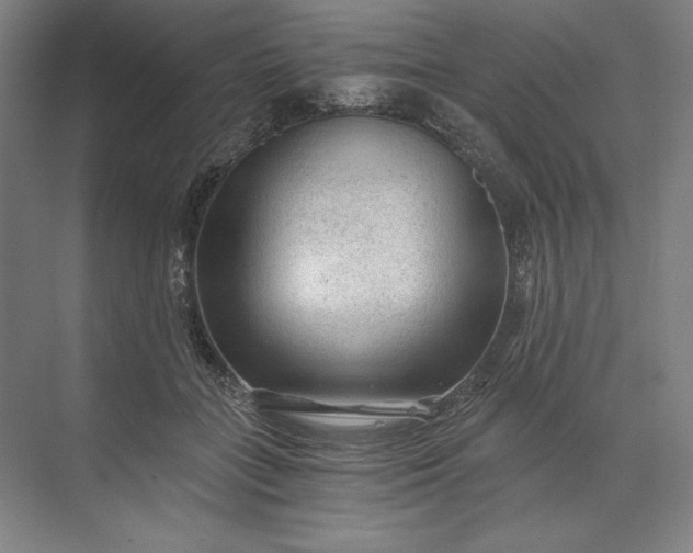 X0000071330555200607071635