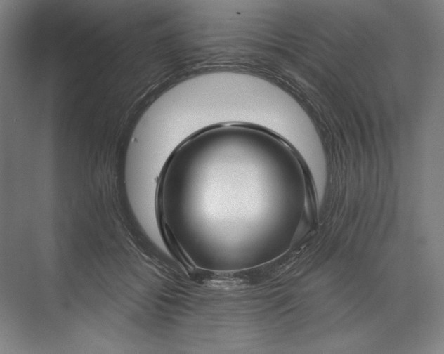 X0000071330556200607071635