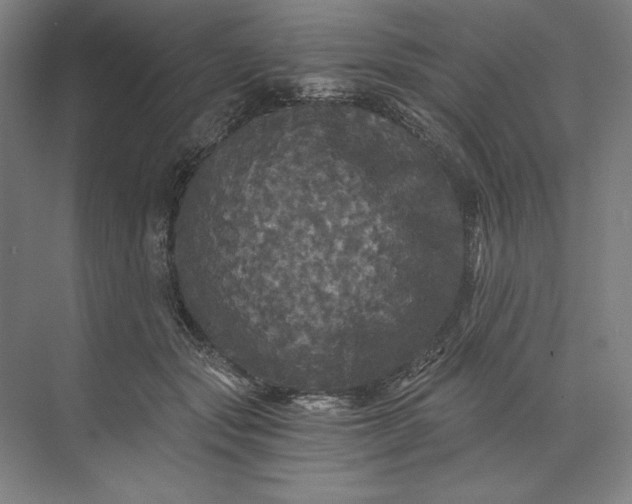 X0000071330557200607071635