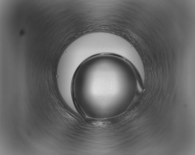 X0000071330558200607071635