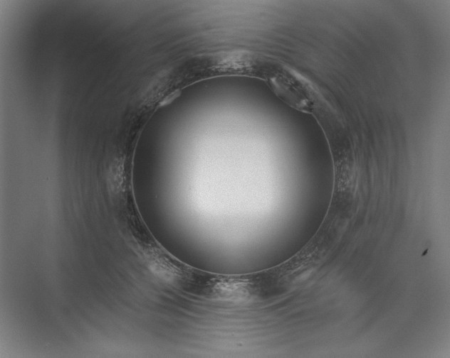 X0000071330560200607071635