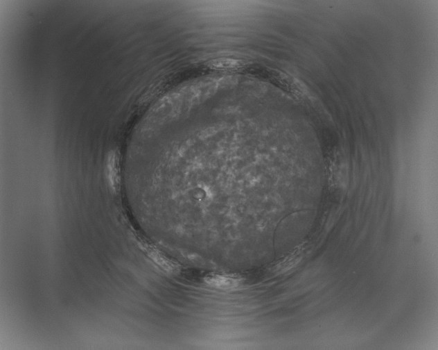 X0000071330561200607071635