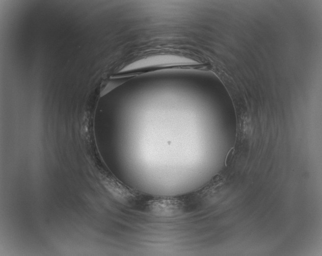 X0000071330567200607071635