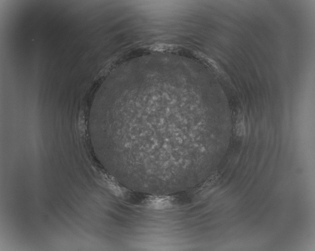 X0000071330569200607071635