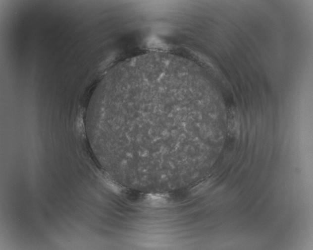 X0000071330573200607071635