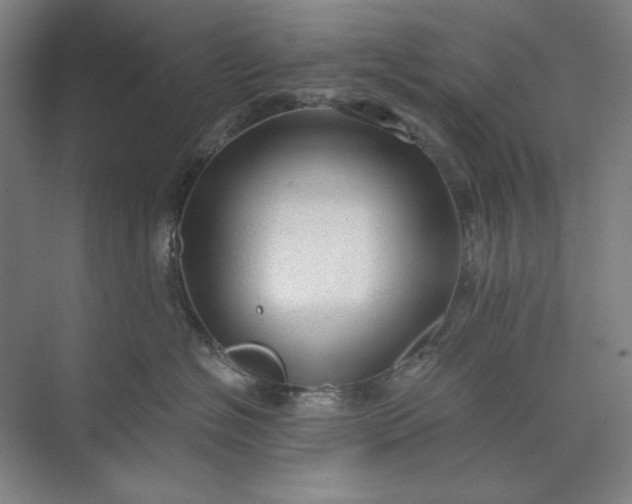 X0000071330574200607071635