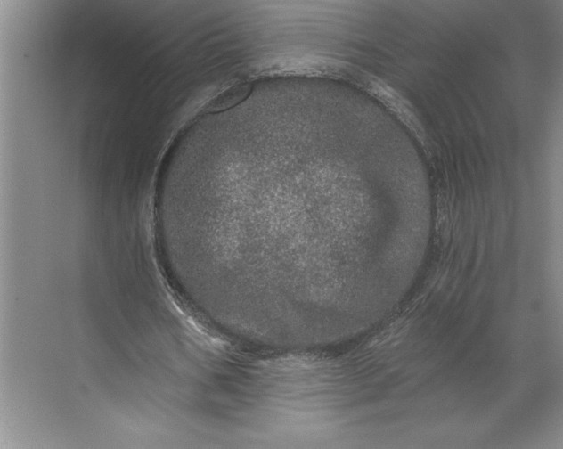 X0000071330578200607071635