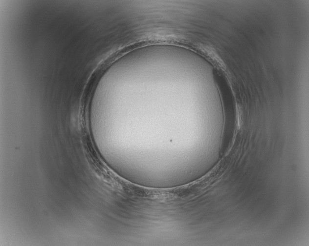 X0000071330579200607071634