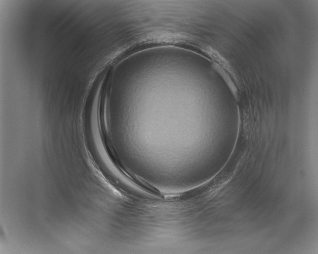 X0000071330581200607071634