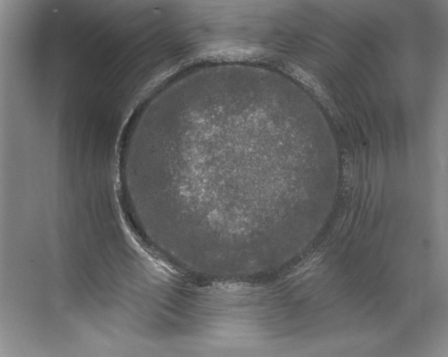 X0000071330582200607071634