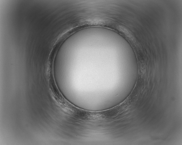 X0000071330583200607071634