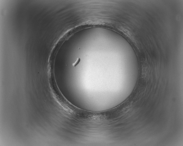 X0000071330584200607071634