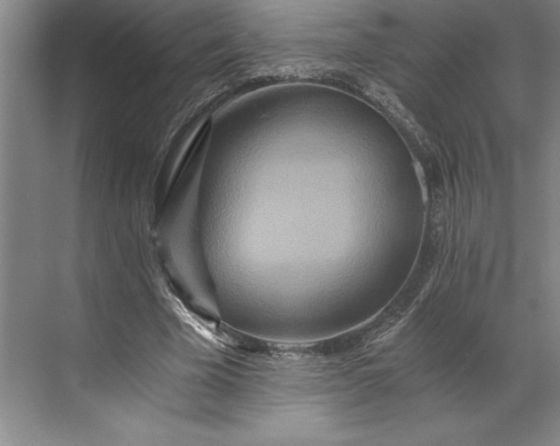 X0000071330585200607071634