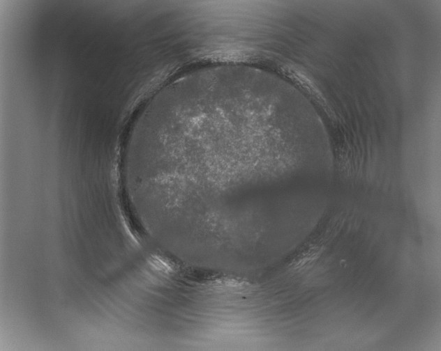 X0000071330586200607071634