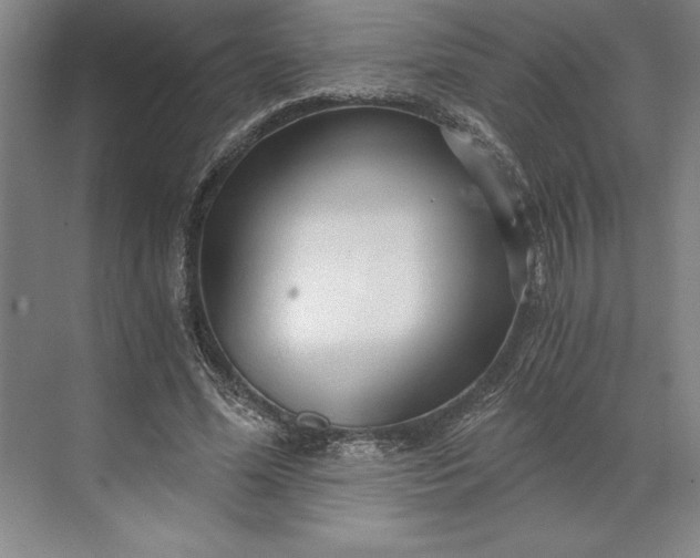 X0000071330588200607071634