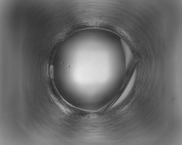 X0000071330589200607071634