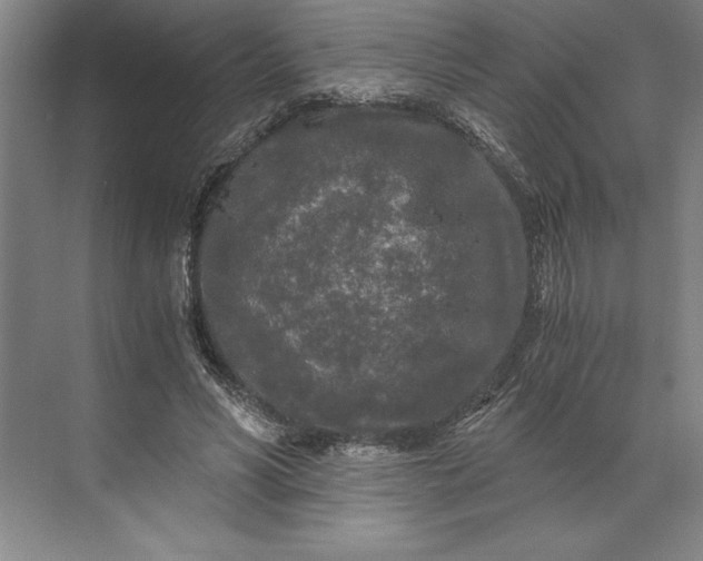 X0000071330590200607071634