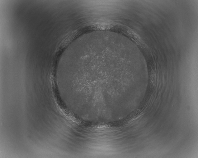 X0000071330594200607071634