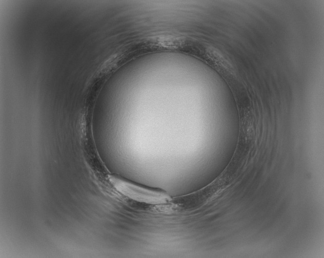 X0000071330595200607071634