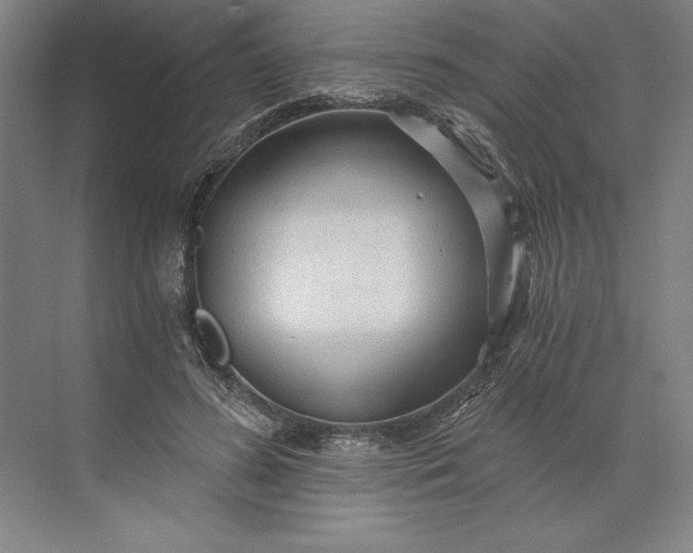 X0000071330596200607071634