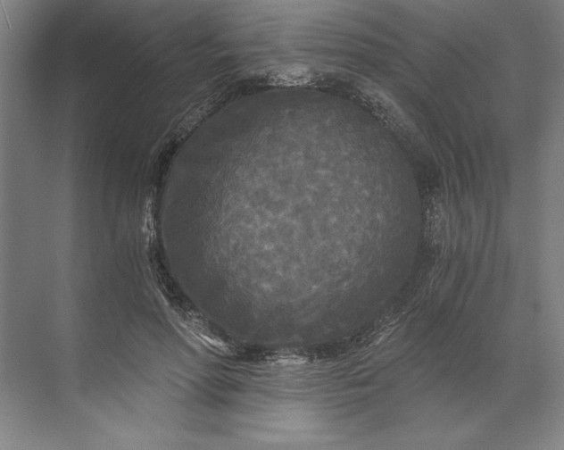 X0000071330598200607071634