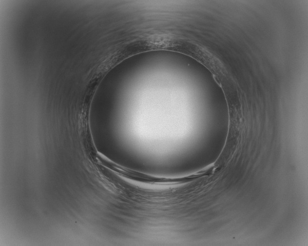 X0000071330601200607071634